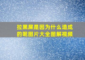 拉黑屎是因为什么造成的呢图片大全图解视频