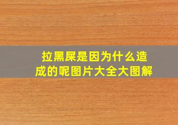 拉黑屎是因为什么造成的呢图片大全大图解