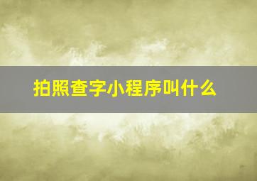 拍照查字小程序叫什么