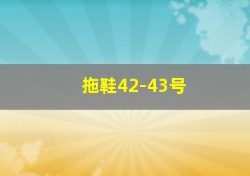 拖鞋42-43号