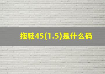 拖鞋45(1.5)是什么码