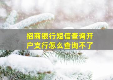 招商银行短信查询开户支行怎么查询不了