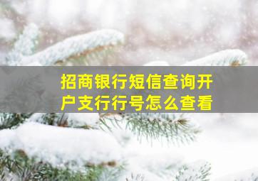 招商银行短信查询开户支行行号怎么查看