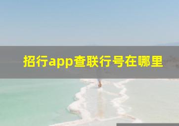 招行app查联行号在哪里