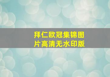 拜仁欧冠集锦图片高清无水印版