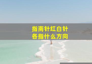 指南针红白针各指什么方向