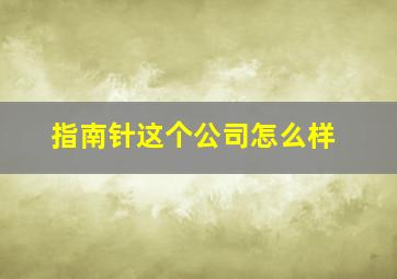 指南针这个公司怎么样