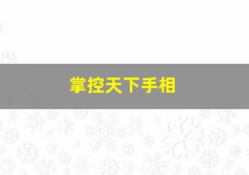 掌控天下手相