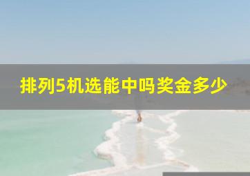 排列5机选能中吗奖金多少