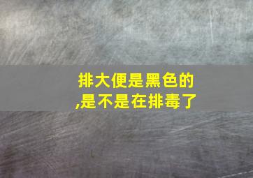 排大便是黑色的,是不是在排毒了