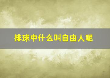 排球中什么叫自由人呢