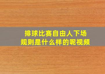 排球比赛自由人下场规则是什么样的呢视频