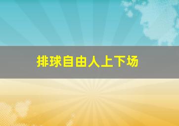 排球自由人上下场