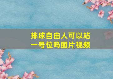 排球自由人可以站一号位吗图片视频