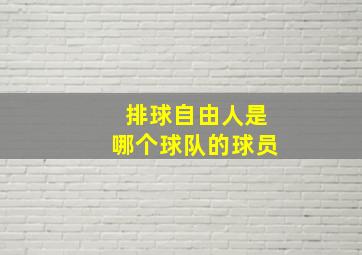 排球自由人是哪个球队的球员