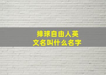 排球自由人英文名叫什么名字