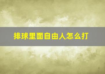 排球里面自由人怎么打