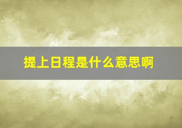 提上日程是什么意思啊