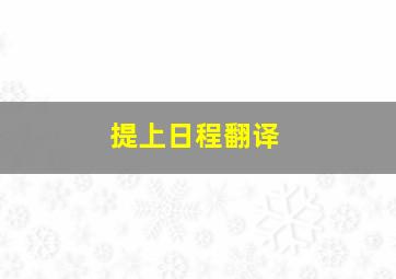 提上日程翻译