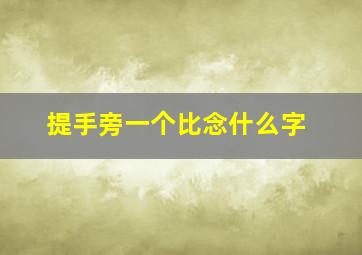 提手旁一个比念什么字