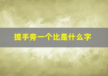 提手旁一个比是什么字