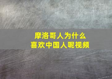 摩洛哥人为什么喜欢中国人呢视频