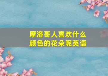 摩洛哥人喜欢什么颜色的花朵呢英语