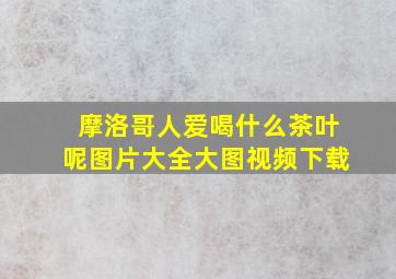 摩洛哥人爱喝什么茶叶呢图片大全大图视频下载