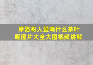 摩洛哥人爱喝什么茶叶呢图片大全大图视频讲解