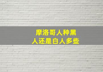 摩洛哥人种黑人还是白人多些