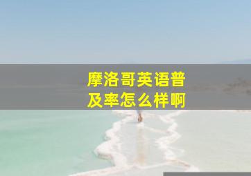 摩洛哥英语普及率怎么样啊