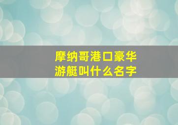 摩纳哥港口豪华游艇叫什么名字