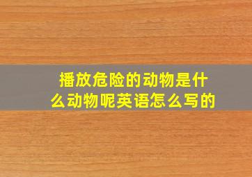 播放危险的动物是什么动物呢英语怎么写的