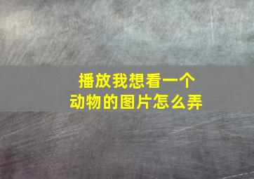 播放我想看一个动物的图片怎么弄