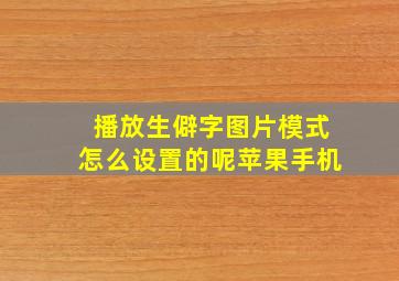 播放生僻字图片模式怎么设置的呢苹果手机