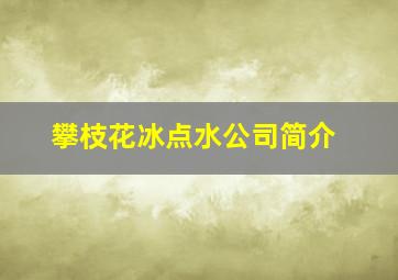 攀枝花冰点水公司简介