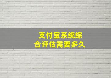 支付宝系统综合评估需要多久