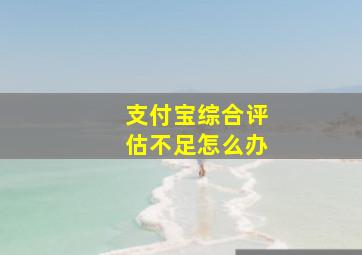 支付宝综合评估不足怎么办