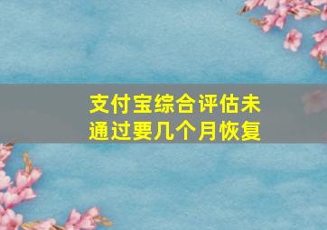 支付宝综合评估未通过要几个月恢复