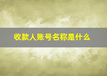 收款人账号名称是什么