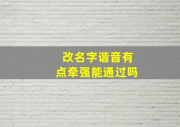 改名字谐音有点牵强能通过吗