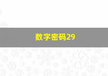 数字密码29