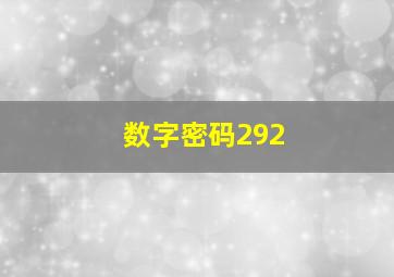 数字密码292