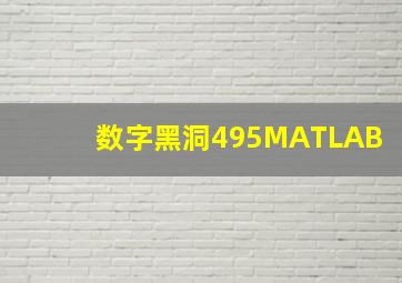 数字黑洞495MATLAB