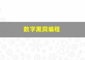 数字黑洞编程