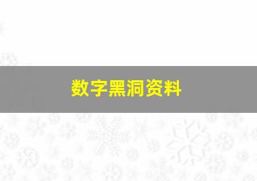 数字黑洞资料