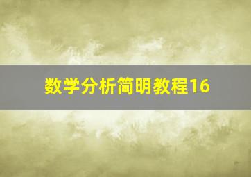 数学分析简明教程16