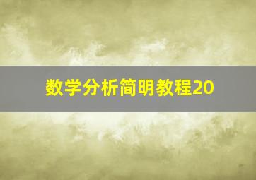 数学分析简明教程20