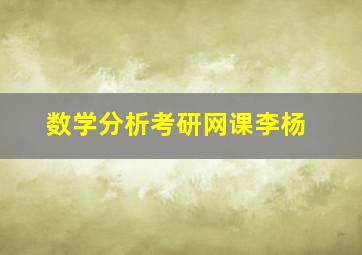 数学分析考研网课李杨