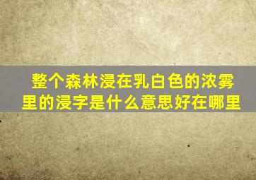 整个森林浸在乳白色的浓雾里的浸字是什么意思好在哪里